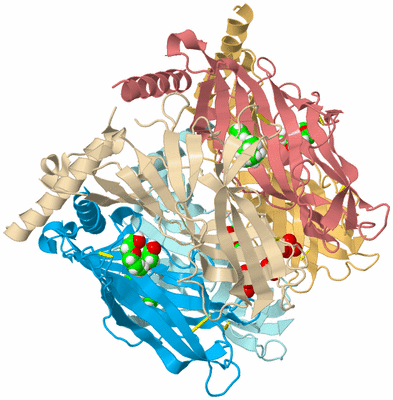 Image Biological Unit 2