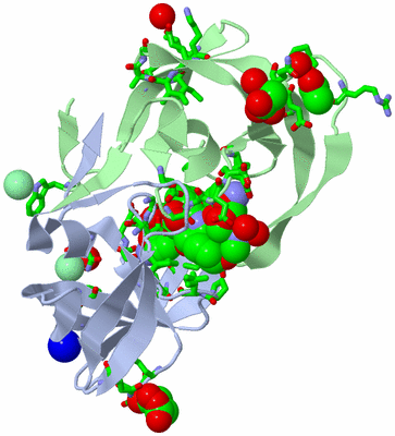 Image Asym./Biol. Unit - sites