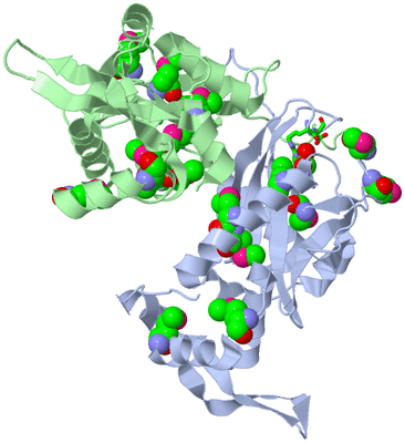 Image Biol. Unit 1 - sites