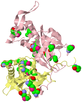 Image Biological Unit 2