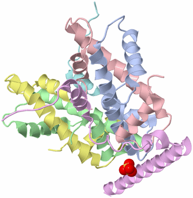 Image Asym./Biol. Unit