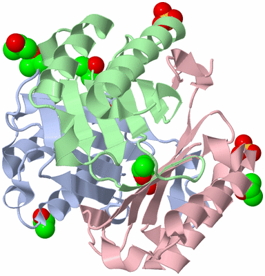 Image Asym./Biol. Unit