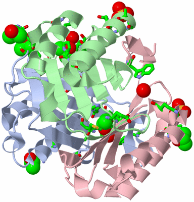 Image Asym./Biol. Unit - sites