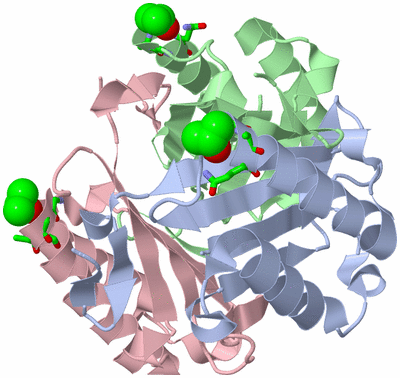 Image Asym./Biol. Unit - sites