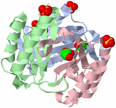 Image Biological Unit 1