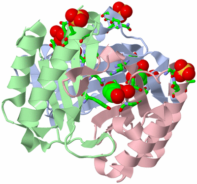 Image Biol. Unit 1 - sites