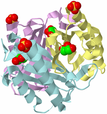 Image Biological Unit 2