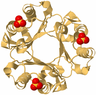 Image Biological Unit 3