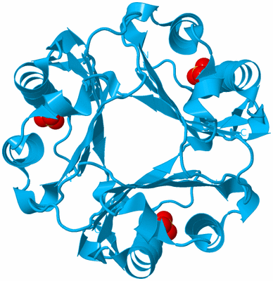 Image Biological Unit 4