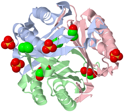 Image Asym./Biol. Unit