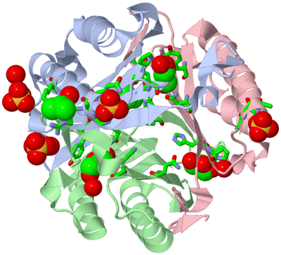 Image Asym./Biol. Unit - sites