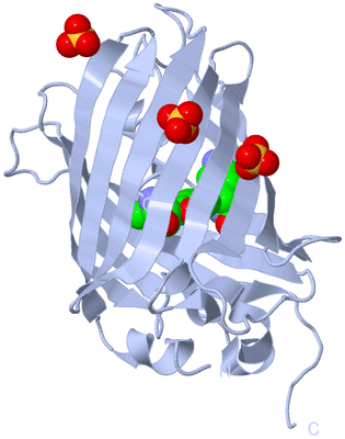 Image Biological Unit 1