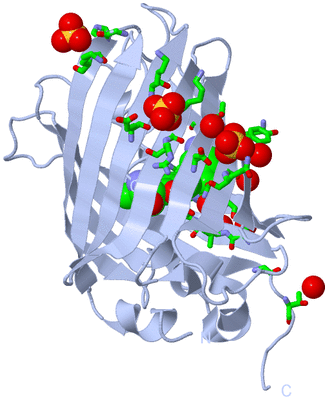 Image Biol. Unit 1 - sites