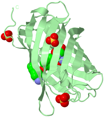 Image Biological Unit 2