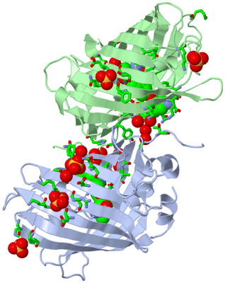 Image Asym. Unit - sites