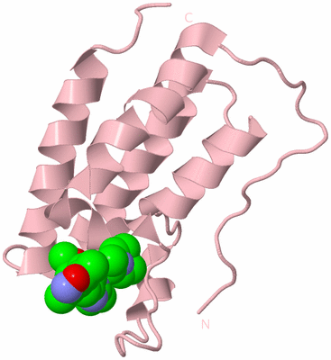 Image Biological Unit 3