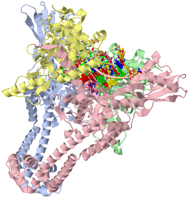 Image Asym./Biol. Unit - sites