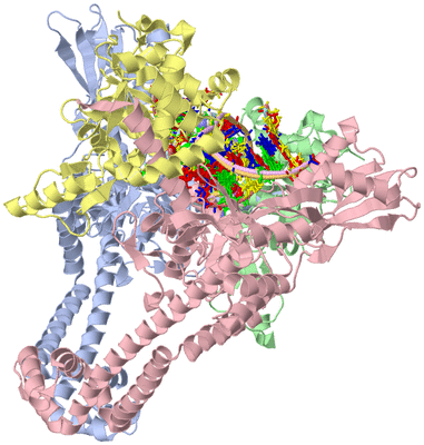 Image Asym./Biol. Unit