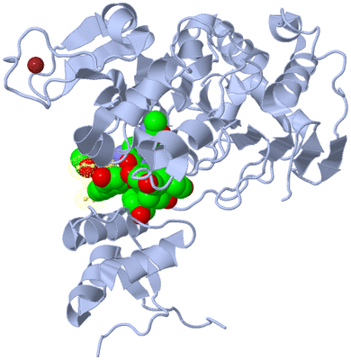 Image Biological Unit 1