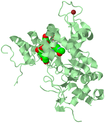 Image Biological Unit 2