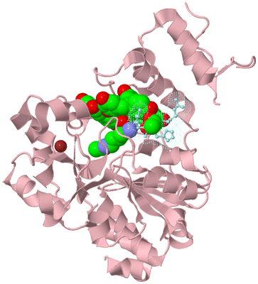 Image Biological Unit 3