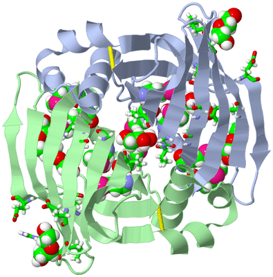 Image Asym./Biol. Unit - sites