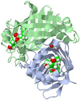 Image Biological Unit 1