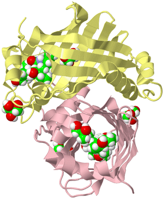 Image Biological Unit 2