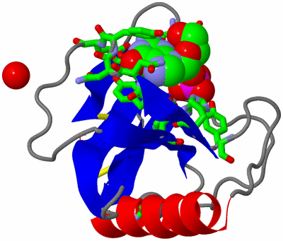 Image Asym./Biol. Unit - sites