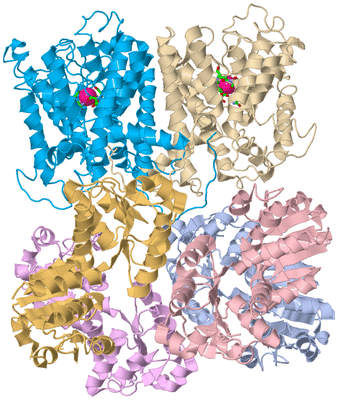 Image Biol. Unit 1 - sites