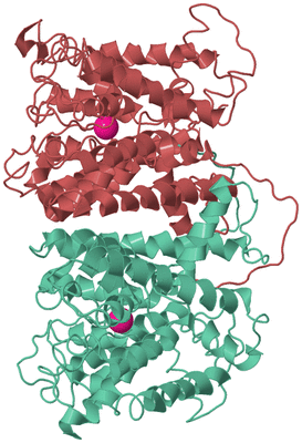 Image Biological Unit 2