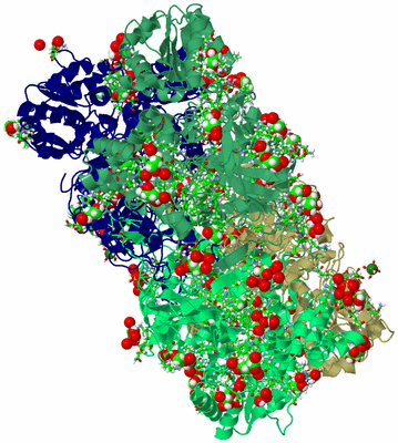 Image Asym./Biol. Unit - sites