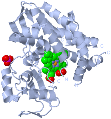 Image Biological Unit 1