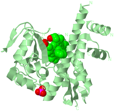 Image Biological Unit 2