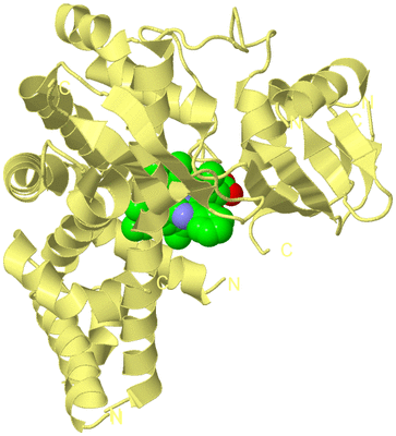 Image Biological Unit 3