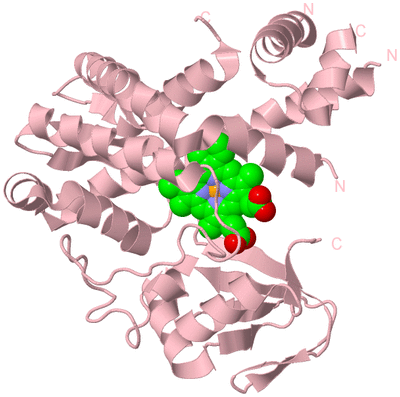 Image Biological Unit 4