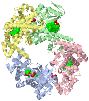 Image Biological Unit 5