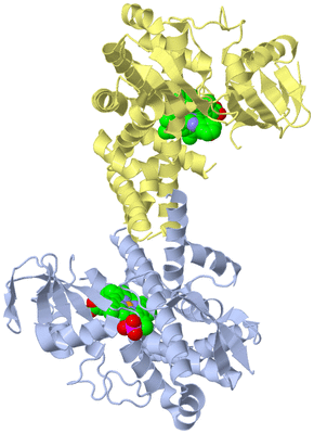 Image Biological Unit 7