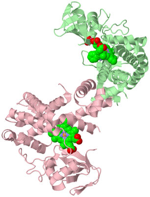 Image Biological Unit 8