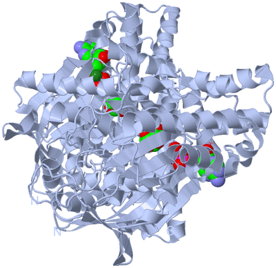 Image Biological Unit 1