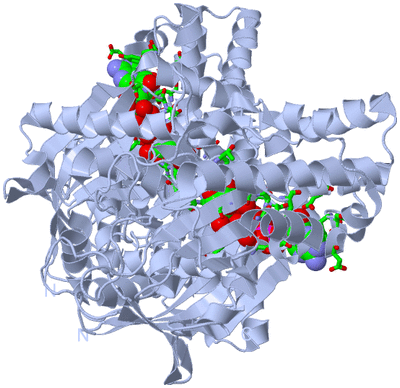 Image Biol. Unit 1 - sites