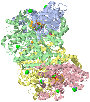 Image Asym./Biol. Unit