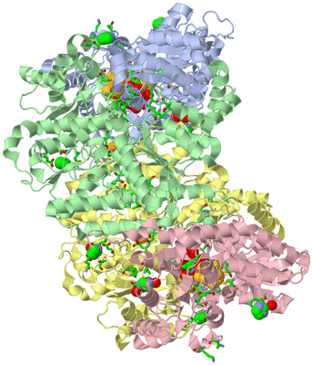 Image Asym./Biol. Unit - sites