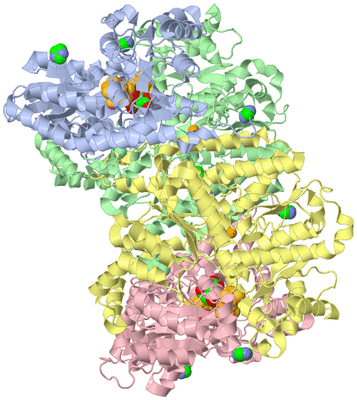 Image Asym./Biol. Unit