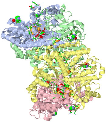 Image Asym./Biol. Unit - sites