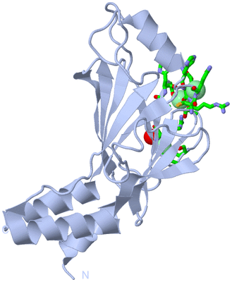 Image Biol. Unit 1 - sites