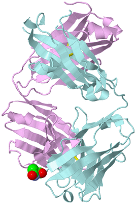 Image Biological Unit 3