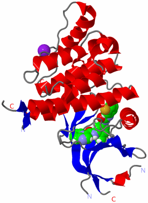 Image Asym./Biol. Unit