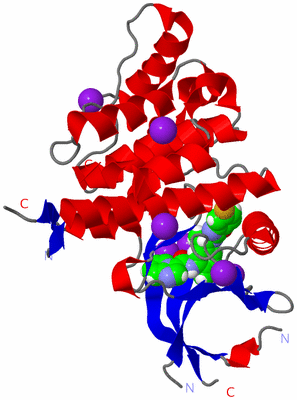 Image Asym./Biol. Unit