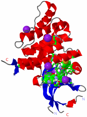 Image Asym./Biol. Unit - sites